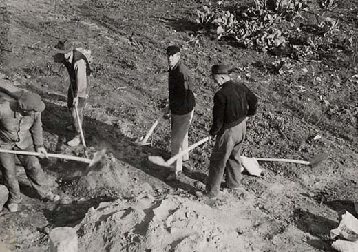 HFH05
